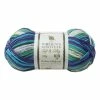 Promo 🥰 The WI 👩 Women's Institute Purple Blue Mix Soft And Silky 4 Ply Yarn 100g ⌛
