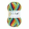 Cheapest 🔥 West Yorkshire Spinners Prism Bright ColourLab DK Yarn 100g 🔔